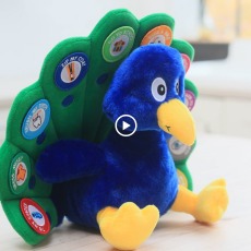 Amazon Product Videographer