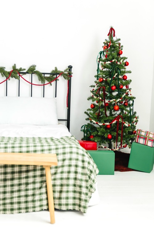 Christmas Photographer in Utah County